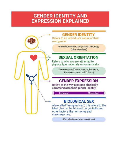 Chart depicting Gender Identity Expressions Explained